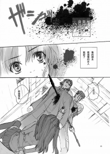 (CR35) [Badon (Kida, Kine)] Blue Blood (Fate/stay night) [Chinese] [中文漢化] - page 22