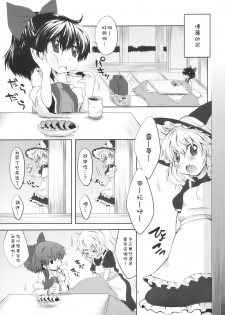 (C77) [MeltdoWN COmet (Yukiu Con)] Chibirei! (Touhou Project) [Chinese] [樱丘汉化组] - page 6