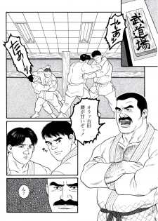 [Tagame Gengoroh] Jujitsu Kyoshi - page 17