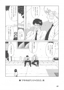 [Okuhira Tetsuo] Dangerous Sister - page 26