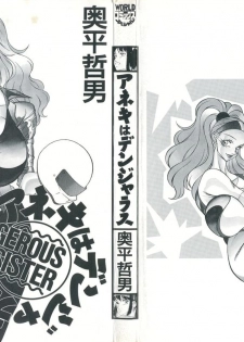 [Okuhira Tetsuo] Dangerous Sister - page 3