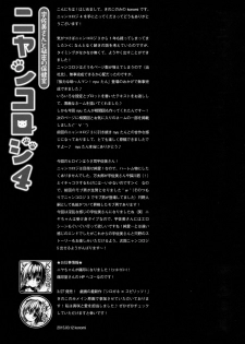 (CSP6) [KINOKONOMI (konomi)] Nyancology 4 -Usami-san To Himitsu no Hokenshitsu- - page 26