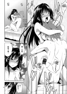 (C87) [Hibi Rakuraku (Aoki Kanji)] Watashi Renchi Yaburu. (To LOVE-Ru) [Chinese] [无毒汉化组] - page 24