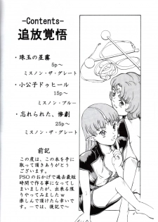 (C61) [Oretachi Misnon Ikka (Misnon the Great, Misnon Blue)] Tsuihou Kakugo Ver 6.0 (Seikai no Monshou, Gakuen Senki Muryou) - page 4