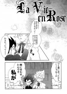 La Vie en Rose (DRAGON BALL Z) - page 7