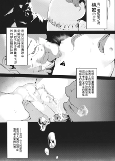 (Kouroumu 10) [IRIOMOTE (Saryuu)] Thileren Tounyan (Touhou Project) [Chinese] [残音许梦] - page 2