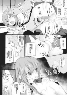 (Kouroumu 10) [IRIOMOTE (Saryuu)] Thileren Tounyan (Touhou Project) [Chinese] [残音许梦] - page 17