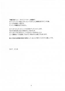 (C82) [Light Garden (Hikabe Sakuho)] Usukurenai (Shinrabanshou ZXF) - page 4