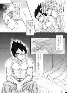 [GREFREE (ema)] Blaze (DRAGON BALL Z) - page 17