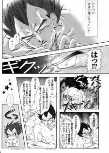 [GREFREE (ema)] Blaze (DRAGON BALL Z) - page 14