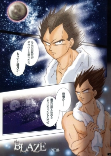 [GREFREE (ema)] Blaze (DRAGON BALL Z) - page 3