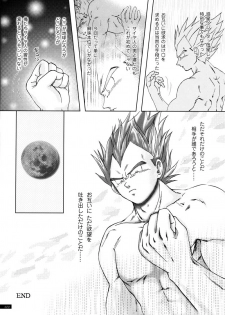 [GREFREE (ema)] Sairokua (Blaze, Voice, +A) (DRAGON BALL Z) - page 18