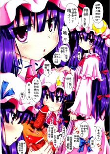 (SC52) [Kamikadou (Ginyou Haru)] Touhou no Eroge 3 (Touhou Project) [Chinese] [oo君の個人漢化] - page 13