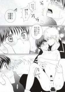 (Meoto Manzai ~Sakata-ke no Baai~) [Jubilee (yukoko)] Nagasarechatte kudasai na. (Gintama) - page 24