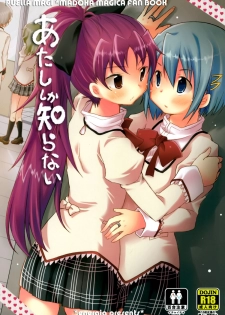 (C86) [Energia (Pikachi)] Atashi shika Shiranai (Puella Magi Madoka Magica) - page 1