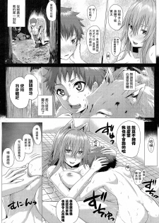 [Simon] Heisei Hourouki | Chronicle of a Heisei Pleasuring Wolf (Comic Unreal 2015-04 Vol. 54) [Chinese] [无毒汉化组] - page 13