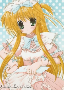 Nanoha san. +Fate-chan. Full Color Soushuuhen (Mahou Shoujo Lyrical Nanoha) - page 43