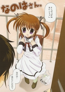 Nanoha san. +Fate-chan. Full Color Soushuuhen (Mahou Shoujo Lyrical Nanoha) - page 4
