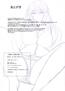 (C85) [Otajai (Yukimaro Yukky)] Komusume-domo ni wa Ni ga Omoi | Young Women Have A Lot On Their Shoulders (IS <Infinite Stratos>) [English] - page 20