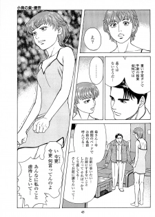 [Kamihashi Tani, Hino Shunpei] Fuuzoku Tenchou Monogatari Vol.06 - page 45