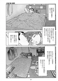 [Kamihashi Tani, Hino Shunpei] Fuuzoku Tenchou Monogatari Vol.06 - page 41