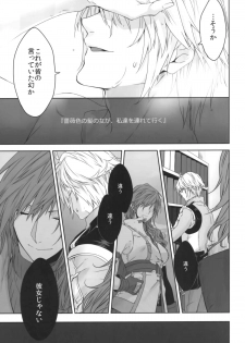 (SUPER24) [CassiS (Rioko)] CXIA (Final Fantasy XIII) - page 9