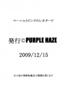 [Purple Haze (Lime)] Manya to Pink no Leotard (Dragon Quest IV) [Digital] - page 26