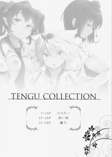 (Reitaisai 12) [Eclipse, Mochi-ya, Hannama (Rougetu, Karochii, Soine)] TENGU COLLECTION (Touhou Project) - page 6