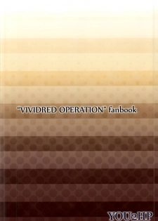 (C87) [YOU2HP (YOU2)] AkaRei☆Operation (Vividred Operation) [Chinese] [师兄汉化] - page 40