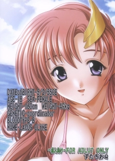 [Studio Q (Natsuka Q-Ya)] Lacus Destiny (Mobile Suit Gundam SEED) [Digital] - page 26