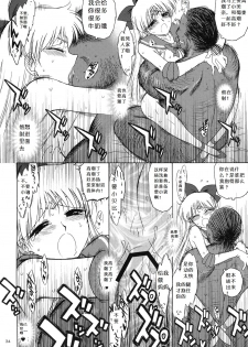 (C80) [BLACK DOG (Kuroinu Juu)] YELLOW TEMPERANCE (Bishoujo Senshi Sailor Moon) [Chinese] - page 33