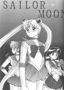 (C46) [Jiyuugaoka Shoutengai (Hiraki Naori)] Minako (Bishoujo Senshi Sailor Moon) - page 5