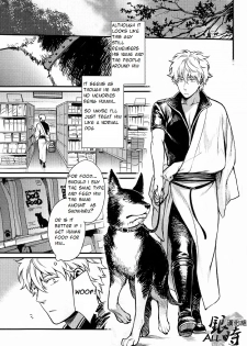 (HaruCC18) [3745HOUSE, tekkaG (MIkami Takeru, Haru)] HOW to SPOIL YOUR DOG (Gintama) [English] [valc21] - page 13