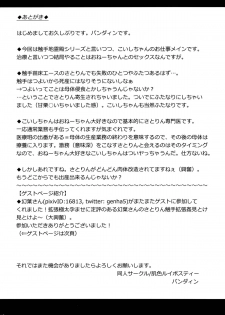 (Reitaisai 12) [Hadairo Rooibos Tea (Pandain)] Onee-chan wa Watashi no Toriko (Touhou Project) - page 17