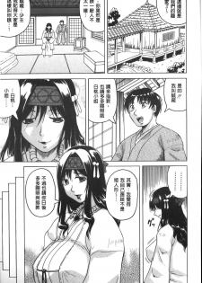 [Jamming] Chigyaku no Mesuhime | 恥虐的牝姫 [Chinese] - page 14