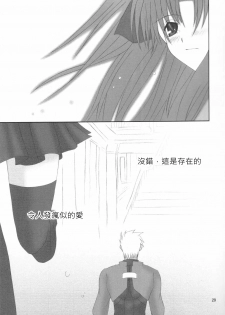 (Mimiket 10) [HAPPY WATER (Kizaki Yuuri)] -True night- (Fate/stay night) [Chinese] [wl00314824個人漢化] - page 28