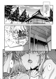 (Reitaisai 12) [PROTMIND (Tatsumiya Motokazu)] Kanashimi no Kisetsu (Touhou Project) [Chinese] [CE家族社] - page 7