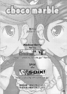 (C66) [Medical Berry (ha-ru, SFIX)] choco marble (Futari wa Precure) - page 25