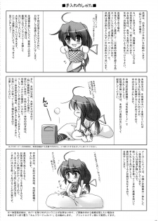 (Mimiket 21) [ C.R's NEST (C.R)] Dakimakura no Tsukaikata Plus! - page 12