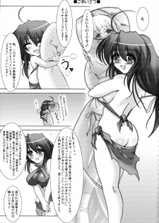 (Mimiket 21) [ C.R's NEST (C.R)] Dakimakura no Tsukaikata Plus! - page 3