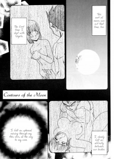 [Ryuujin-kai (HITO Ribuki)] Dangerous Beauty (DRAGON BALL Z) [English] - page 5