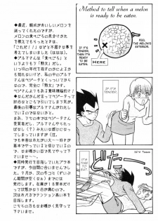 [Ryuujin-kai (HITO Ribuki)] Dangerous Beauty (DRAGON BALL Z) [English] - page 23