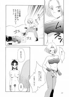 [Akai Suisei] Seijo no Utage - page 26
