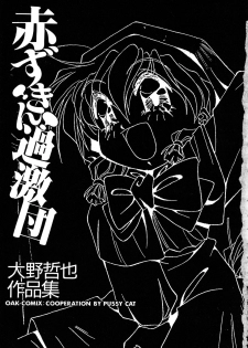 [Oono Tetsuya] Akazukin Kageki-Dan (Akazukin Cha Cha, Samurai Spirits) - page 5