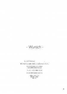 (C85) [HB (Futoo)] Wunsch (Senki Zesshou Symphogear) - page 3