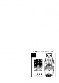 [SSB (Maririn)] Cosplayer Haruna (Kantai Collection -KanColle-) [Digital] - page 3