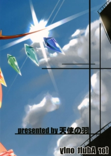 (Reitaisai SP2) [Angelic Feather (Land Sale)] PETBOTTLER FLANDRE (Touhou Project) - page 20