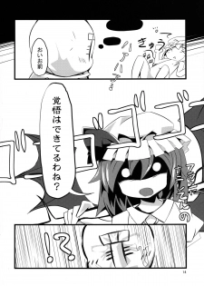 (Reitaisai SP2) [Angelic Feather (Land Sale)] PETBOTTLER FLANDRE (Touhou Project) - page 14