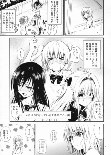 (C86) [Hibi Rakuraku (Aoki Kanji)] Momioka no Hatsujou (To LOVE-Ru) - page 5