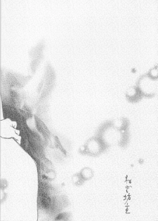 (C71) [Negibouzu (Yoshida Negi)] Hyakuiromegane (Bleach) - page 25